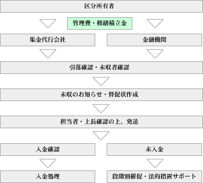 ���W�����̗���